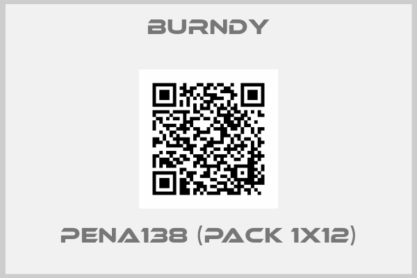 PENA138 (pack 1x12)-big