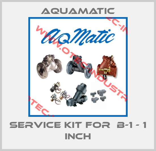 service kit for  B-1 - 1 inch-big