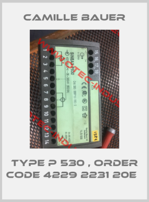 Type P 530 , order code 4229 2231 20E  -big
