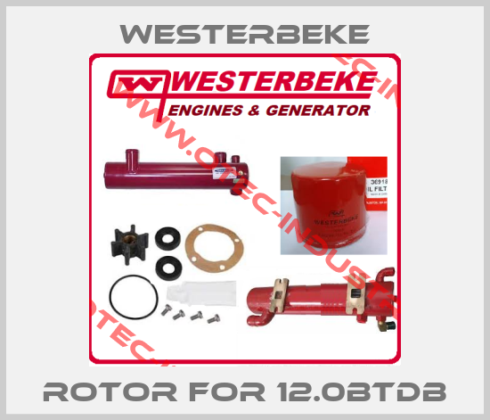 Rotor for 12.0BTDB-big