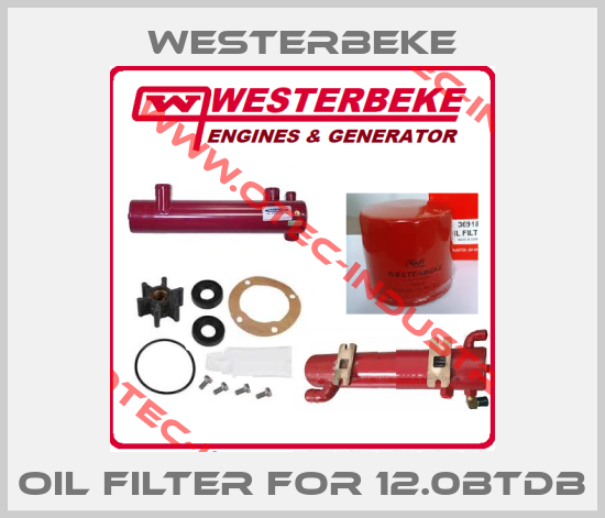 Oil filter for 12.0BTDB-big