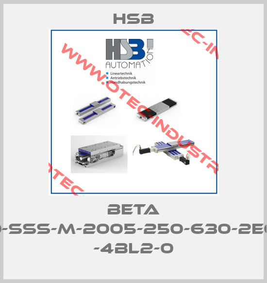 Beta 80-SSS-M-2005-250-630-2EO2 -4BL2-0-big