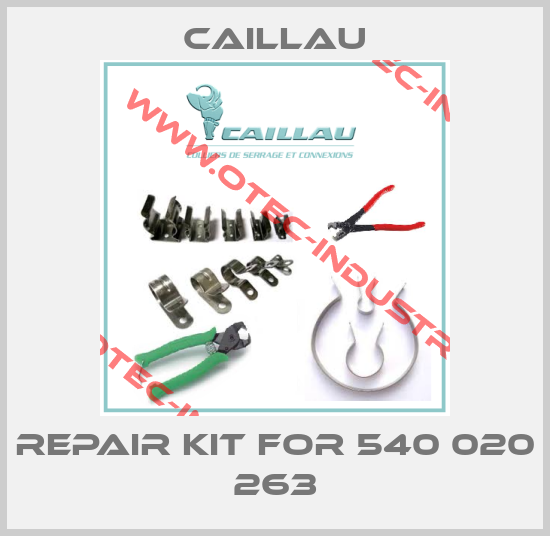 Repair kit for 540 020 263-big