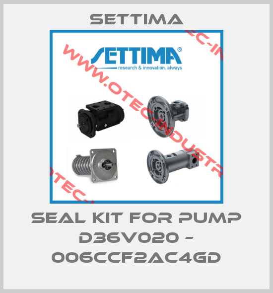 seal kit for pump D36V020 – 006CCF2AC4GD-big