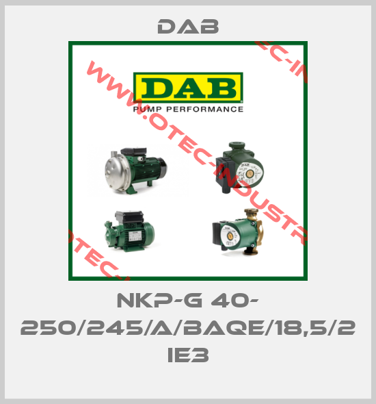 NKP-G 40- 250/245/A/BAQE/18,5/2 IE3-big