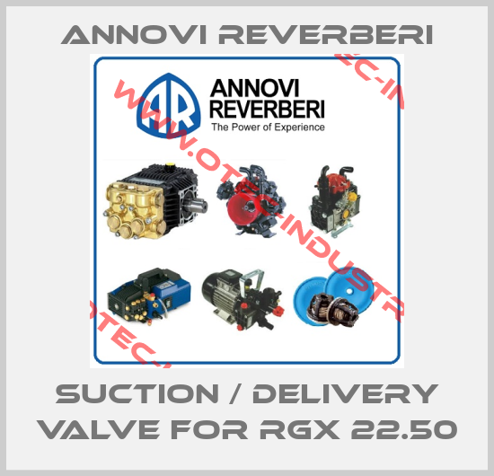 Suction / Delivery valve for RGX 22.50-big