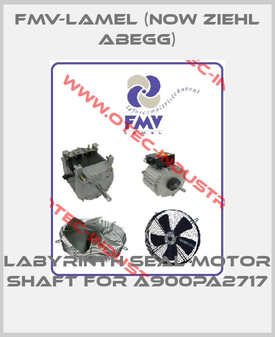 Labyrinth seal motor shaft for A900PA2717-big