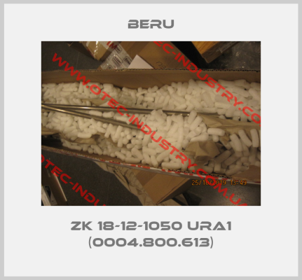 ZK 18-12-1050 URA1 (0004.800.613)-big