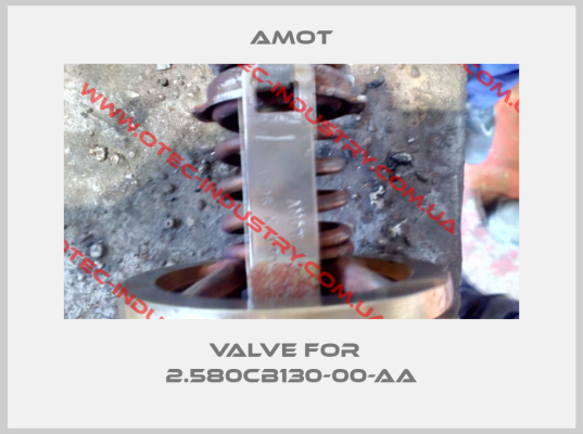 Valve for   2.580CB130-00-AA-big