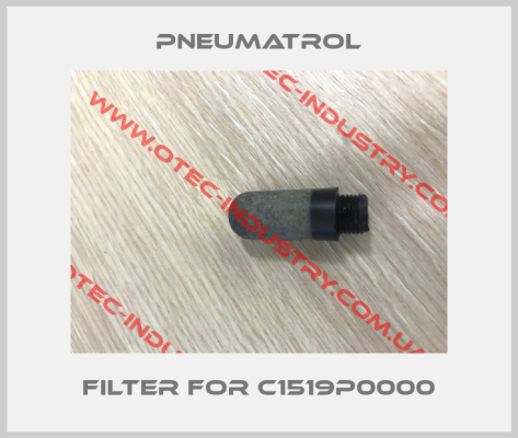 Filter for C1519P0000-big