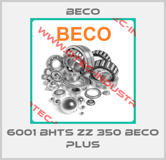 6001 BHTS ZZ 350 BECO PLUS-big