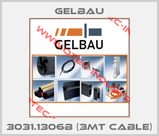 3031.1306B (3mt cable)-big