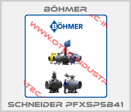 Schneider PFXSP5B41-big