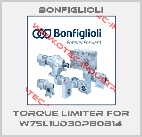 torque limiter for W75L1UD30P80B14-big