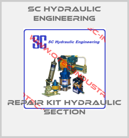 Repair Kit Hydraulic Section-big