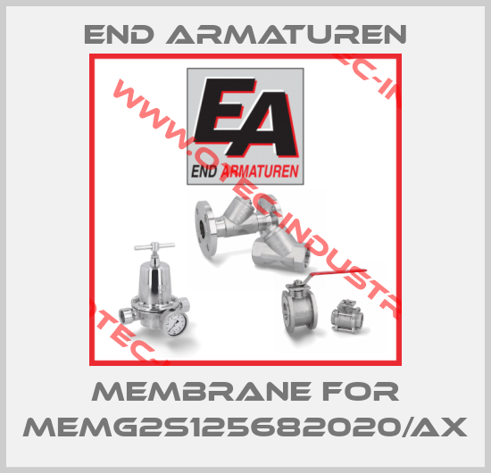 Membrane for MEMG2S125682020/AX-big