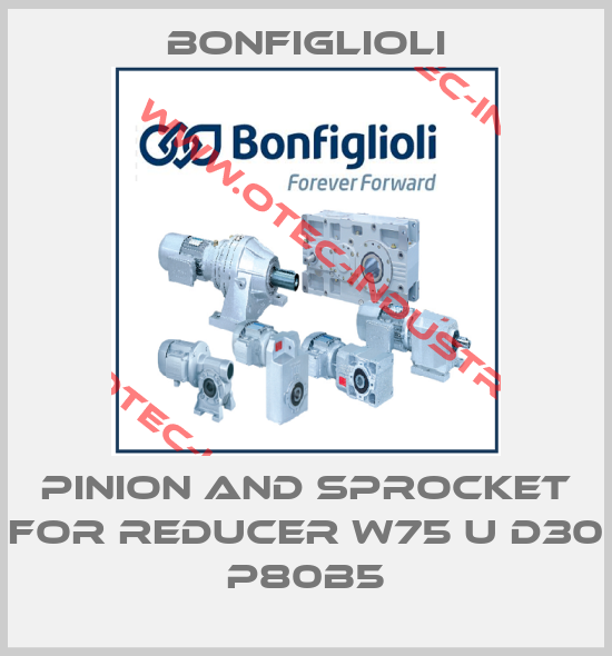 PINION AND SPROCKET FOR REDUCER W75 U D30 P80B5-big