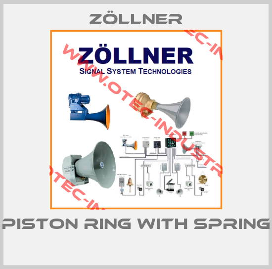 PISTON RING WITH SPRING -big