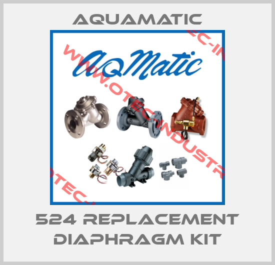 524 replacement diaphragm kit-big