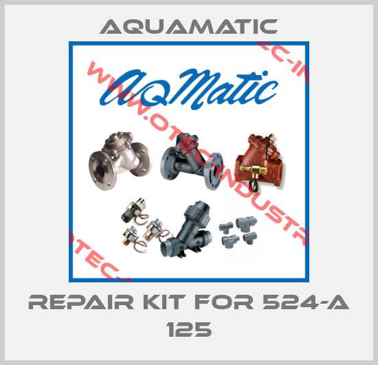 Repair kit for 524-A 125-big