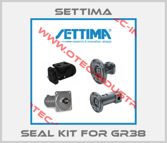 Seal kit for GR38-big