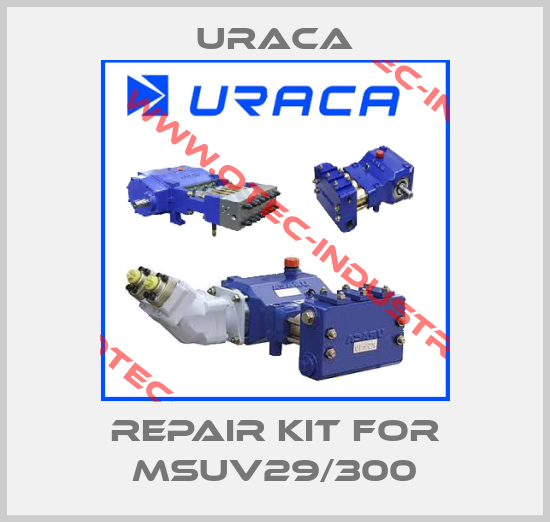 Repair kit for MSUV29/300-big