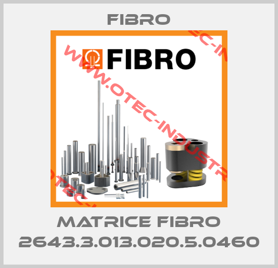 MATRICE FIBRO 2643.3.013.020.5.0460-big
