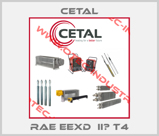 RAE EExd  IIС T4-big