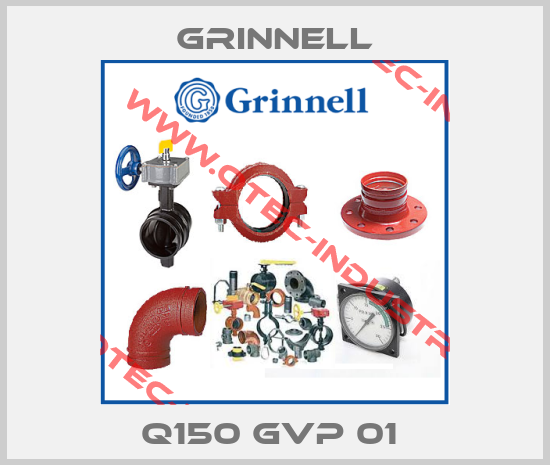Q150 GVP 01 -big