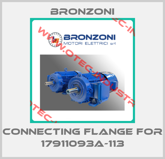 Connecting flange for 17911093A-113-big