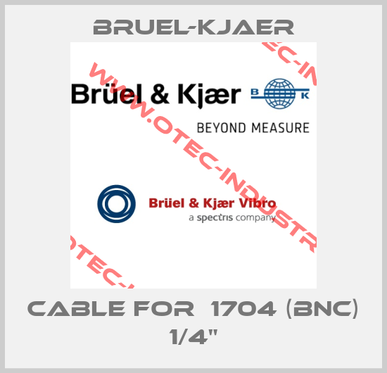 Cable for  1704 (BNC) 1/4"-big