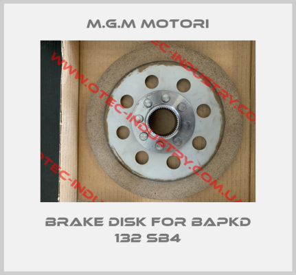 brake disk for BAPKD 132 SB4-big