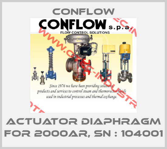 actuator diaphragm for 2000AR, sn : 104001-big