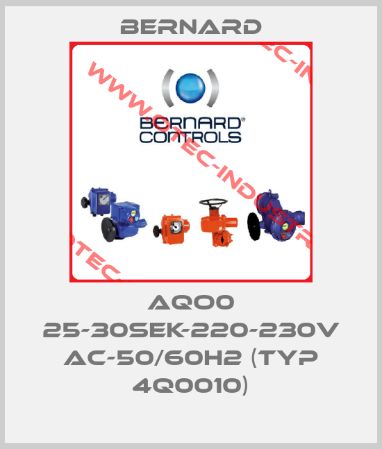 AQO0 25-30sek-220-230V AC-50/60H2 (Typ 4Q0010)-big