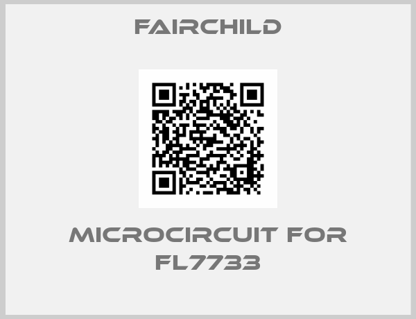 microcircuit for FL7733-big