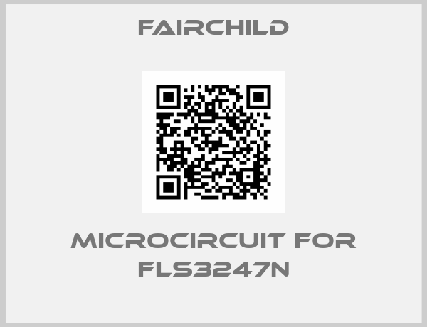 microcircuit for FLS3247N-big