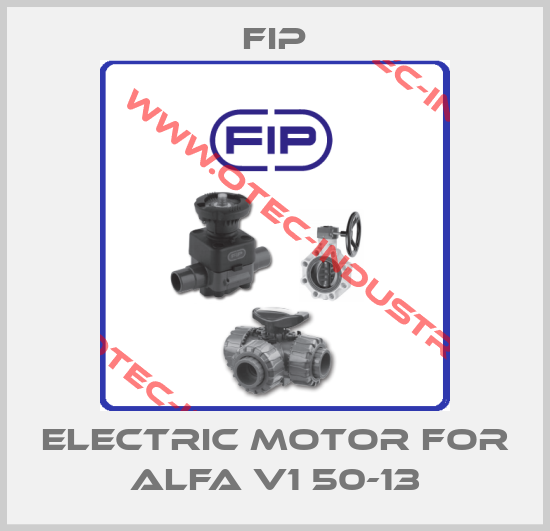 electric motor for ALFA V1 50-13-big