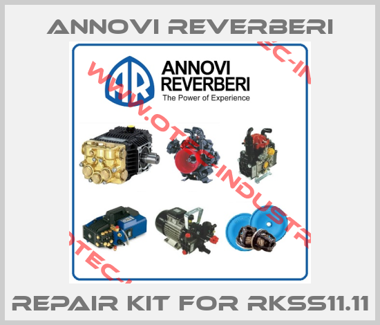 Repair kit for RKSS11.11-big