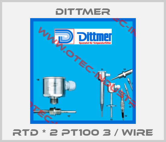 RTD * 2 PT100 3 / Wire-big