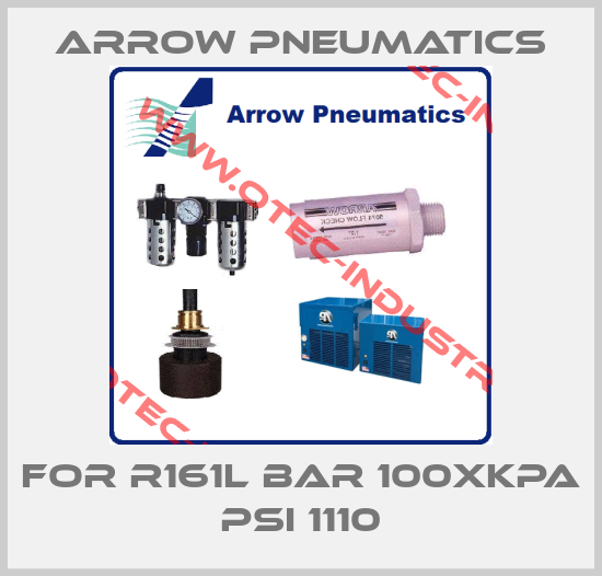For R161L Bar 100xkPa PSI 1110-big