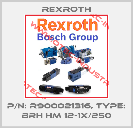 P/N: R900021316, Type: BRH HM 12-1X/250-big