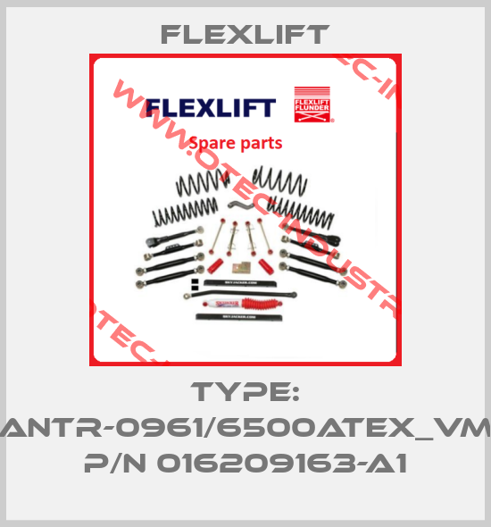 Type: ANTR-0961/6500ATEX_VM  P/N 016209163-A1-big