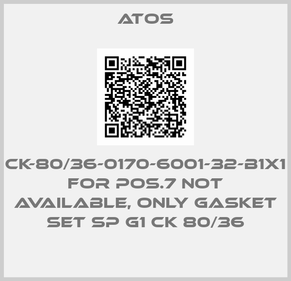 CK-80/36-0170-6001-32-B1X1 for Pos.7 not available, only gasket set SP G1 CK 80/36-big