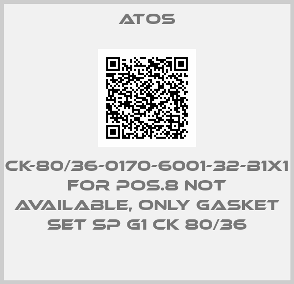 CK-80/36-0170-6001-32-B1X1 for Pos.8 not available, only gasket set SP G1 CK 80/36-big