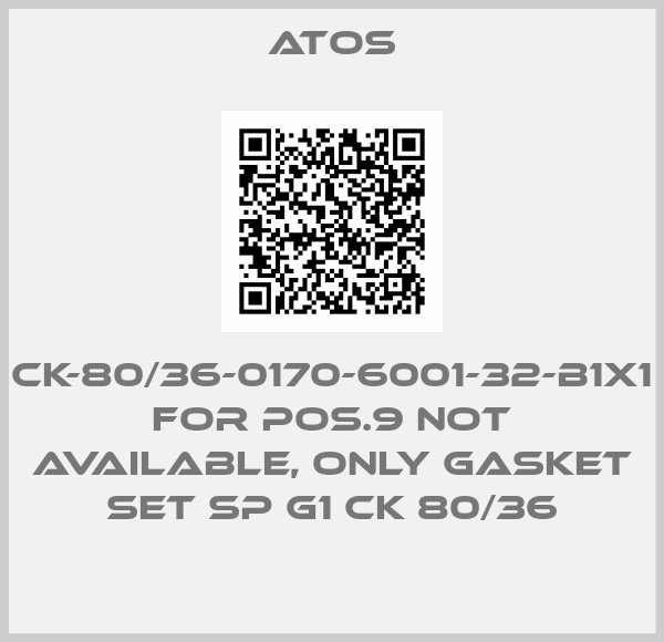CK-80/36-0170-6001-32-B1X1 for Pos.9 not available, only gasket set SP G1 CK 80/36-big