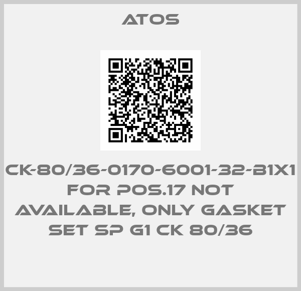 CK-80/36-0170-6001-32-B1X1 for Pos.17 not available, only gasket set SP G1 CK 80/36-big