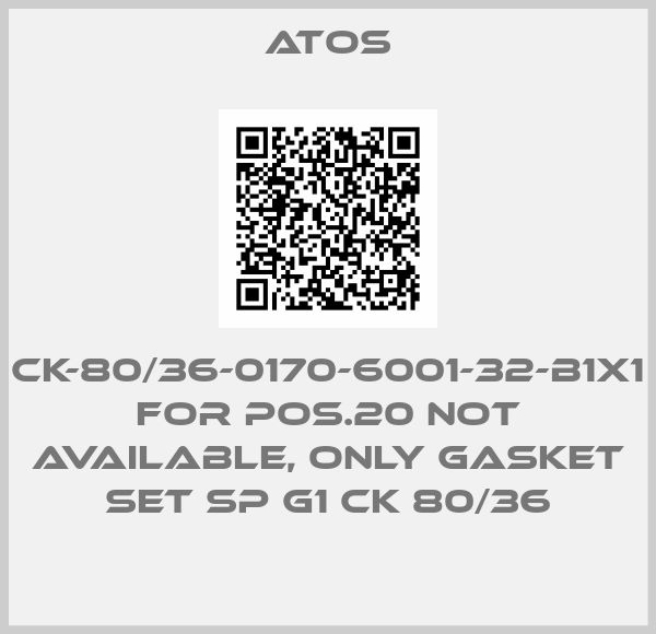 CK-80/36-0170-6001-32-B1X1 for Pos.20 not available, only gasket set SP G1 CK 80/36-big