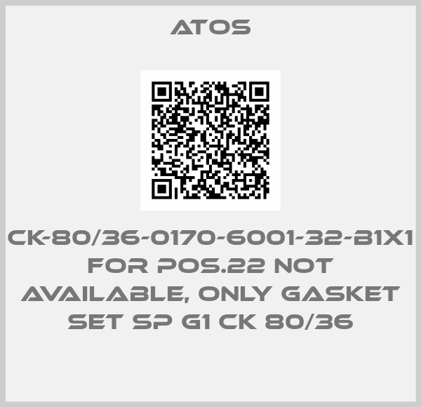 CK-80/36-0170-6001-32-B1X1 for Pos.22 not available, only gasket set SP G1 CK 80/36-big