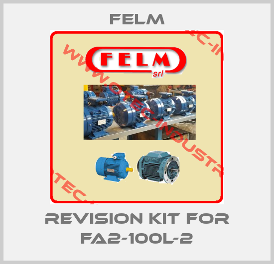 Revision kit for FA2-100L-2-big