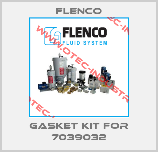 Gasket kit for 7039032-big